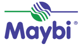 MAYBİ